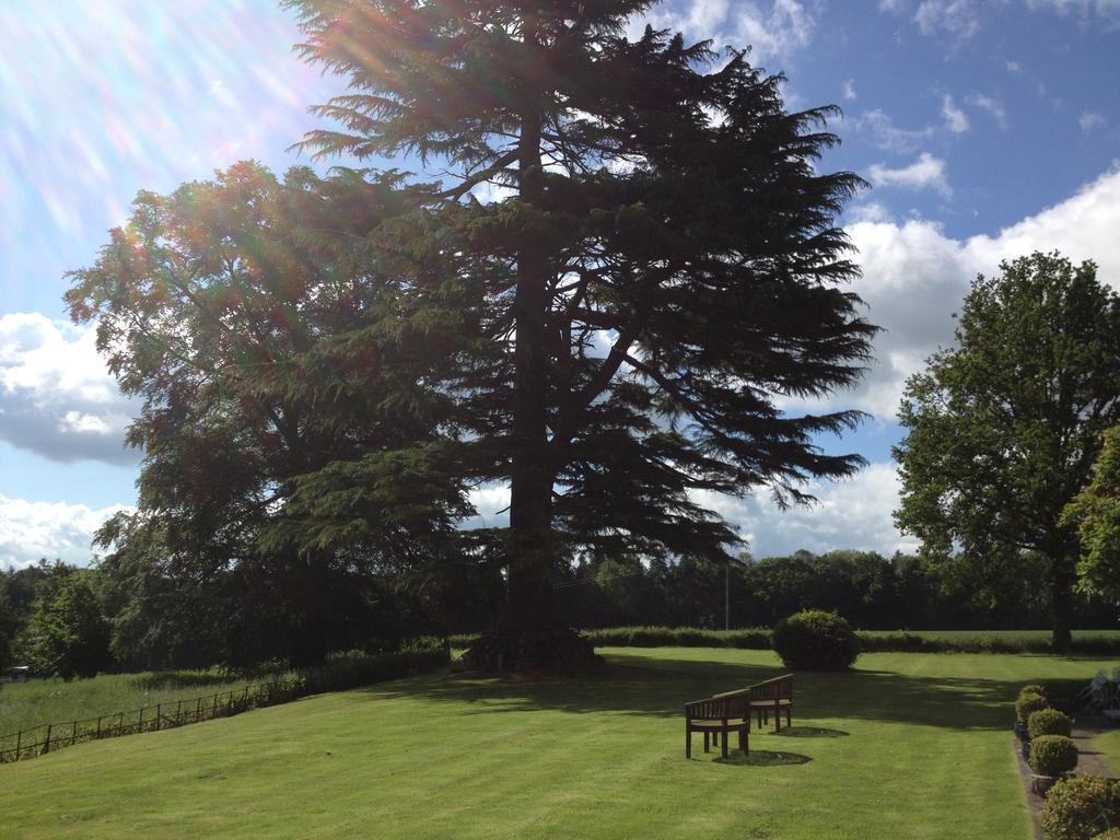 Overton Grange Country Hotel Ludlow Exterior foto
